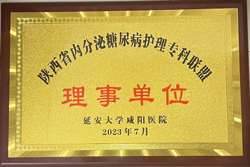 陜西省內(nèi)分泌糖尿病護理專科聯(lián)盟理事單位